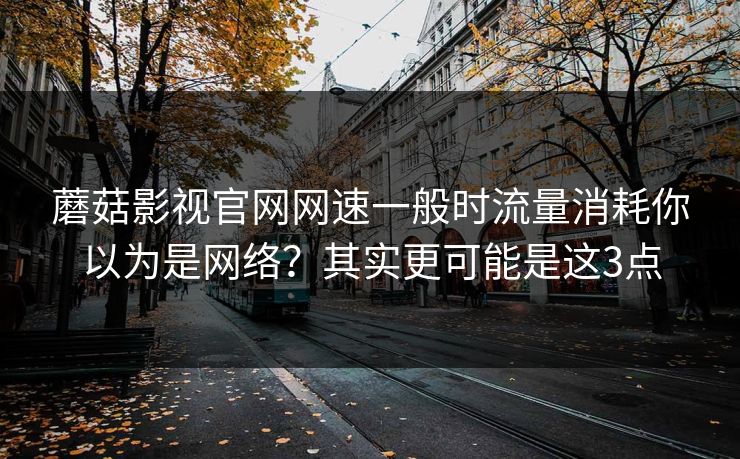 蘑菇影视官网网速一般时流量消耗你以为是网络？其实更可能是这3点